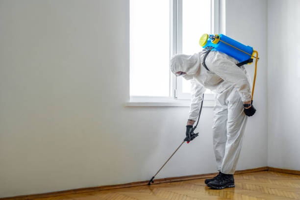 Best Pest Control Near Me in Melvindale, MI